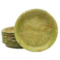 50 Pieces Eco-friendly Nepal Authentic Leaf Bowl | Tapari | Sal Leaf. 