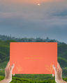 Himalayas Own Himalayan Tea Collection Box | Premium Himalayan Tea Gift Set | 6 Rare High-Altitude Whole Leaf Teas. 