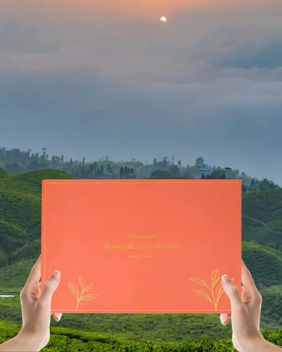 Himalayas%20Own%20Himalayan%20Tea%20Collection%20Box%20%7C%20Premium%20Himalayan%20Tea%20Gift%20Set%20%7C%206%20Rare%20High-Altitude%20Whole%20Leaf%20Teas%20-%20Image%205