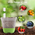 12 Packs 3 Inch Square Plastic Nursery Pots, Clear Plant Pot with Soft Silicone Base for Easy Transplant, Flower Pots. 