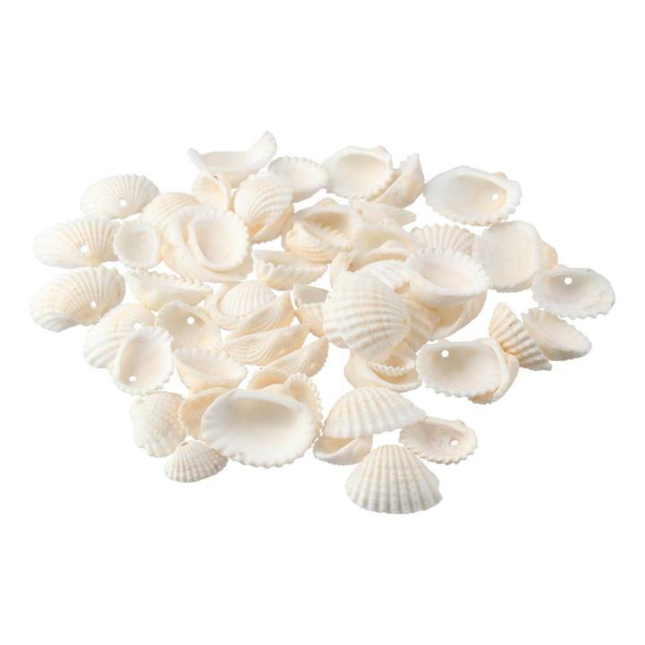 Shell 100pcs 100 Grams DIY 100 Grams Natural Sea Shell Approx.100pcs Clam Shell ...