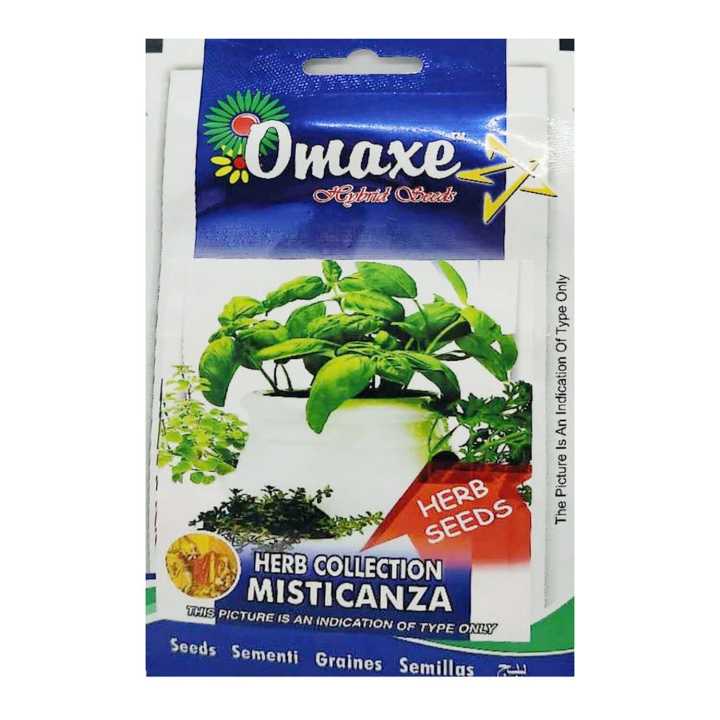 Herb Seed Collection - 6 Types of Herb Seeds 200 Plus Seed