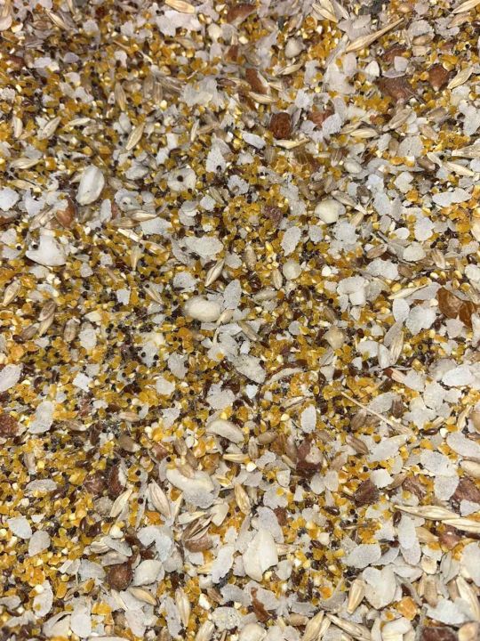 IS 280 Grams of Highly Nutritious Organic Seed / Seeds and Grains Mix Food for All Kinds of Birds / Bird | Shell Free