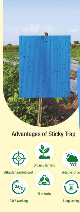 Yellow/Blue%20Sticky%20Trap%20To%20Control%20Flying%20Insects,%20Both%20Sided,%20A5%20size,%2015%20x%2020%20cm%20-%20Image%207