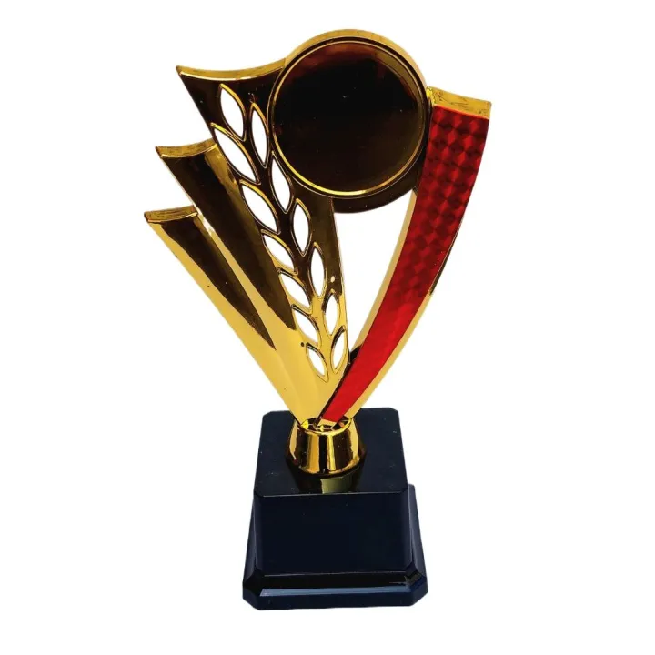 22cm%20Gold%20Cup%20Winner%20Trophy%20%20for%20Awards,%20Party%20Celebrations%20Ceremony%20Appreciation%20Gift%20Sport%20Academy%20AS%20-%20Image%203