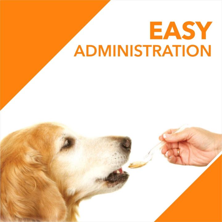 Drools%20Absolute%20Salmon%20Oil%20Syrup%20Dog%20Supplement,%20150%20ml,%20Animal%20Health%20Supplement%20-%20Image%204