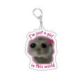Gift Car Pack Acrylic Game Hamster Sad Me Memes Fun Just A Girl Key Chain Cartoon Key Chain Ring Backpack Glamour Key Chain Pentend. 