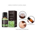 Freshener Air Household Humidifier Aroma 10ml Diffuser Essential Oil Air Water Soluble Lavender Rose Eucalyptus Auto. 