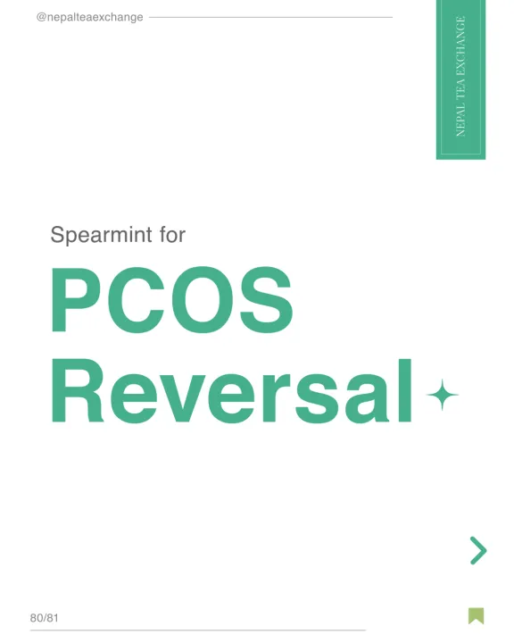 Spearmint%20Tea%20For%20PCOS%20Reversal%20and%20Hormonal%20Acne%20-%2080g%20-%20Black%20Tea%20&%20Spearmint%20Blend%20-%20Nepal%20Tea%20Exchange%20-%20Image%205