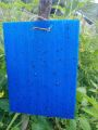 Yellow/Blue Sticky Trap To Control Flying Insects, Both Sided, A5 size, 15 x 20 cm. 