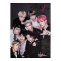 Stray Kids Music Band Poster: Multicolour Wall Decor - 14x19 Inches - 130-200 GSM Paper - Perfect For Office, Home, Or Student Room. 
