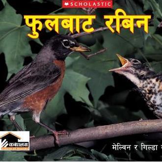 Ful%20Bata%20Robin%20By%20Melvin%20&%20Gilda%20Berger%20-%20Image%203