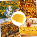 Beeswax Sheets 10Pcs Beeswax Foundation Sheets Wax Foundation for Bee Frames Natural Honeycomb Sheets Beeswax Sheets. 