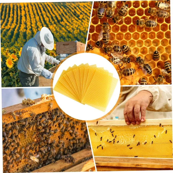 Beeswax%20Sheets%2010Pcs%20Beeswax%20Foundation%20Sheets%20Wax%20Foundation%20for%20Bee%20Frames%20Natural%20Honeycomb%20Sheets%20Beeswax%20Sheets%20-%20Image%207