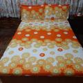 Fresh Pattern Bed Sheet With Pillow Cases. 