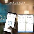 20A 3960W EU Wifi Smart Plug. 