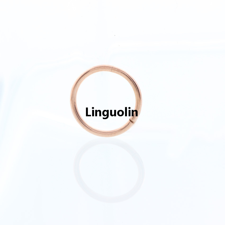 Linguolin%20Luxury%20%E3%80%90New%20Trend%E3%80%91UOTOP%201PC%206/8/10mm%20G23%20Titanium%20Hinged%20Segment%20Indian%20Nose%20Rings%20Hoop%20and%20Studs%2016G%20Septum%20Clicker%20Piercing%20Clip%20Body%20Jewelry%20-%20Image%202