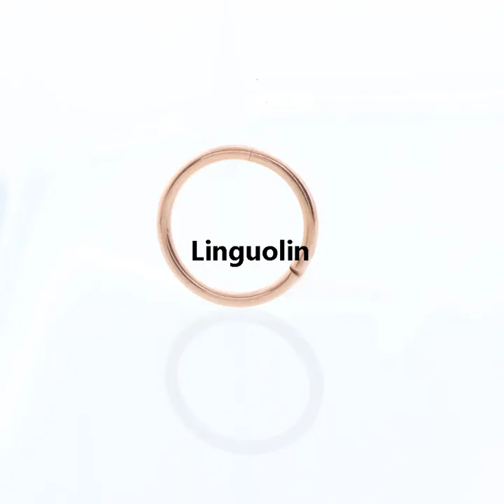 Linguolin%20Luxury%20%E3%80%90New%20Trend%E3%80%91UOTOP%201PC%206/8/10mm%20G23%20Titanium%20Hinged%20Segment%20Indian%20Nose%20Rings%20Hoop%20and%20Studs%2016G%20Septum%20Clicker%20Piercing%20Clip%20Body%20Jewelry%20-%20Image%202