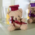 Gift Plush Doctor Nursery Gift Graduation Fleece Doll Dr. Cub Bear Cute Furry Teddy Bear Hanging Bag Charm Key Ring Holder. 
