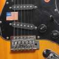 Sun Burst Precious Bass TeleCaster Guitar US15023500 With Belt. 