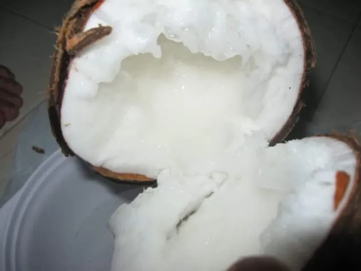 100%25%20Pure%20Coconut%20Wax%20For%20Candle%20Making%20%7C%20Candle%20Making%20Raw%20Material%20%7C%20Diy%20%7C%20Candle%20Making%20(Pack%20Of%201%20Kg)%20-%20Image%202