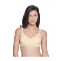 Bodycare 6584 Full Coverage Pure Cotton Bra For Women. 