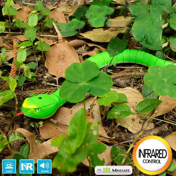 Dx%20Rc%20Toy%20Rechargeable%20Remote%20Control%20Snake%20Realistic%20%20%20Toys%20For%20Children%20-%20Image%205