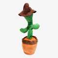 Green/Brown Cactus Plant For Kid. 