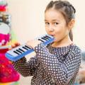 Brother Melodica 32 Keys Piano Style Keyboard With Free Soft Case (Assorted Color). 