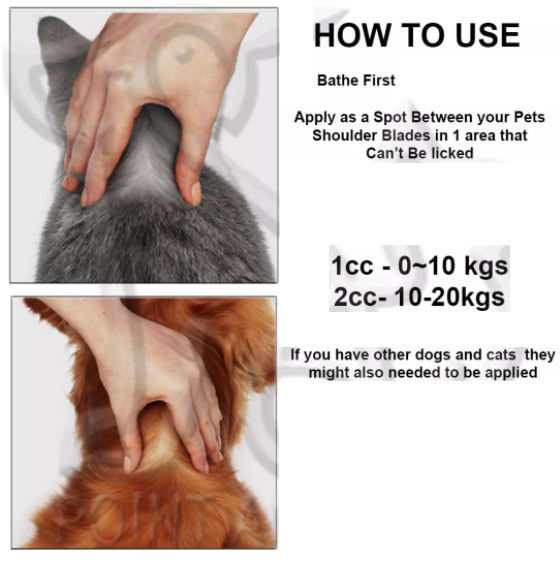 Detick%20%E2%80%93%20Solution%20For%20Scabies,%20Fungal,%20Lice,%20Flea,%20Ticks%20For%20Pets%20Cats%20&%20Dogs%20(1cc)%2010pcs%20By%20HAMROPETS%20-%20Image%202