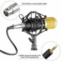 Bm 800 Professional Studio Microphone Full Set With Stand Pop Filter Net Filter and Sound Card. 