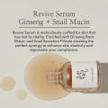 Beauty of Joseon Revive Anti Ageing Serum: Ging Seng + Snail Mucin 30ml | Korean Skincare. 