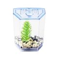 Fish Breeding Plastic Betta Isolation Box Single/Double Grid Transparent Betta Fish Tank Fish Breeder Box Office Fish. 
