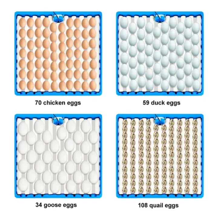Blue%20Turning%20Tray%201%20Set%20360%20Degree%20Chicken%20Eggs%20Motor%20Turning%20For%20DIY%20Automatic%20Incubator%20Duck%20Quail%20Bird%20Poultry%20Farming%20-%20Image%203