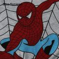 Huadunwen 【2025 Version】 Kingstar123 Kids Boys Tops Spider man T-shirt Clothes Short Sleeve Casual Cotton Tee Summer. 