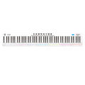Piano Beginner Trainer (88 keys). 