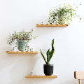Double-layer Hanging Plant Holder Lazy Water Plastic Basket Wall Flower Pot Mystic. 