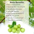 Amla Powder 1Kg  Amala Churna  Gooseberry Powder - 1 Kg. 