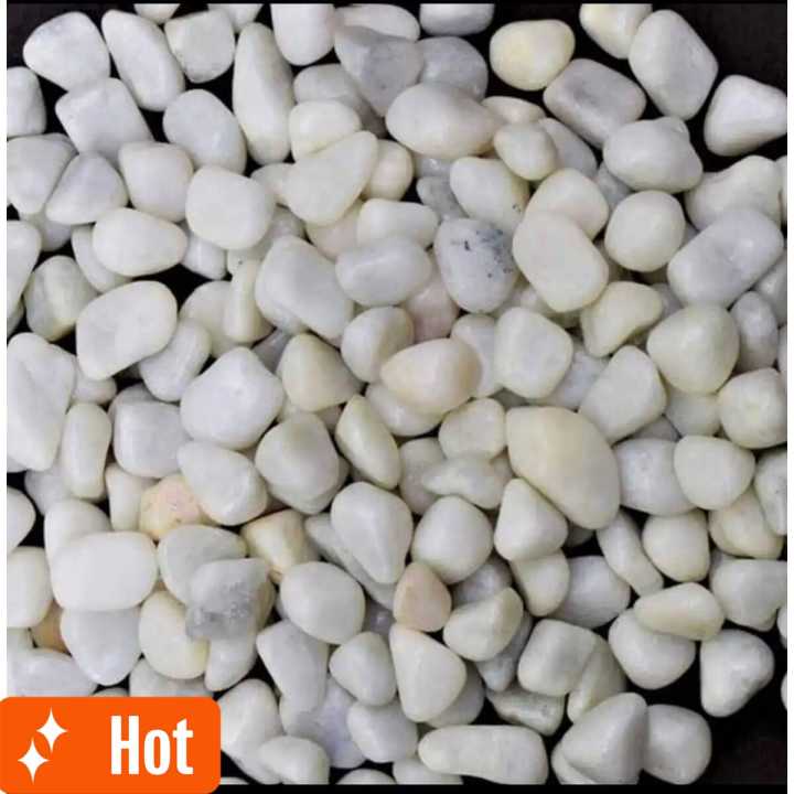 1%20Kg%20White%20Stone%20Pebbles%20For%20Aquarium%20And%20Garden%20Decoration%20Natural%20White%20Polished%20Stones%20-%20Decorative%20Stones%20%7C%20-%20Image%202
