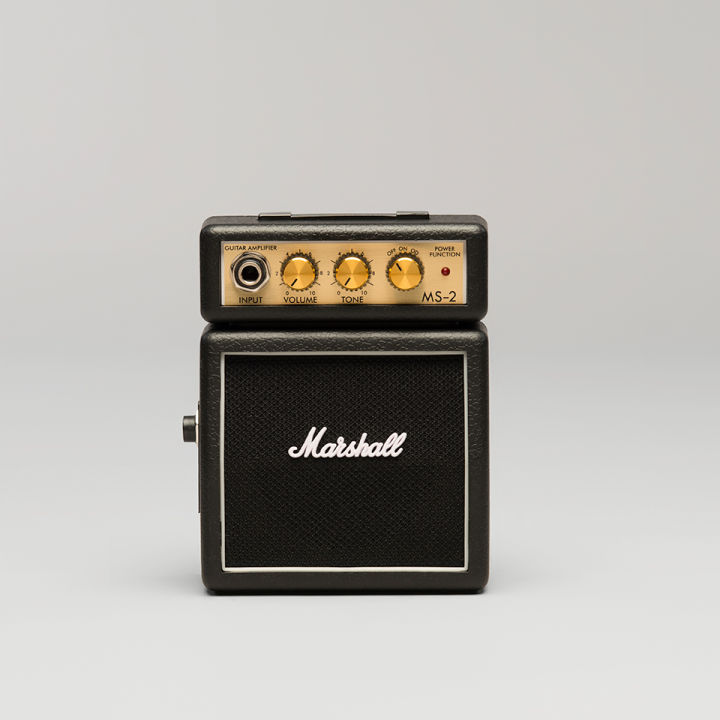 Marshall MS-2  A 1-watt Battery-powered Micro Amp