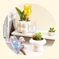 Creative Tulip Shape Plant Automatic Watering System Balls Plastic Decorative Drip Irrigation Stakes Clear Plant Waterer. 