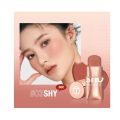 O.Two.O Blush Stick (SC049). 