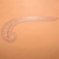 NAMUNY 5pcs 11.8 inch Long Comma Shaped Plastic Transparent French Curve Ruler Spline. 