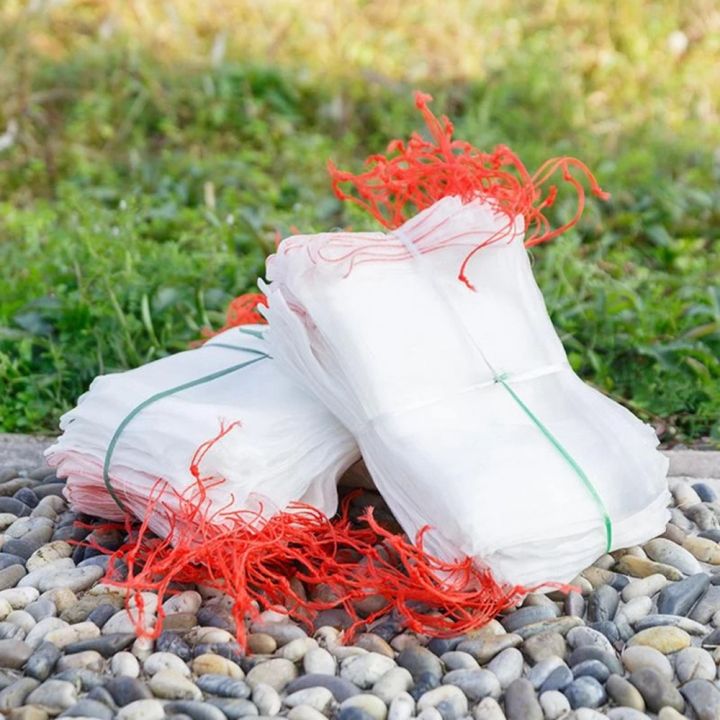 Garden%20Netting%20Bags%20Grapes%20Fruit%20Protection%20Bag%20Agricultural%20Pest%20Control%20Anti-Bird%20Mesh%20Grape%20Bags-15%20x%2010CM%20-%20Image%204
