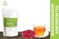 Rhododendron Arboreum Tea (50gms) / Herbs Nepal. 