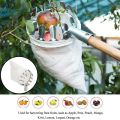 Fruit Picker Head Basket Or Fruit Picking Tools, Fruits Catcher For Harvest Picking Apple Citrus Pear Peach. 