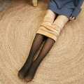 Transparent High Waist Stretchy Winter Leggings Stockings For Women. 