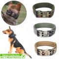 Flash DealM 1000D Nylon Dog Collar with Metal Buckle Dog Training Collar. 