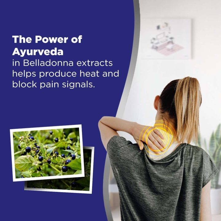 Hansaplast%20Lion%20Heat%20Plaster,%20Back%20and%20Neck%20Pain%20Relief%20Patches%20%7C%2010%20sheets%20in%20each%20Pack%20-%20Image%203