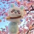 Chiikawa Plush Small Eight Pendant Bag Hanging Peripheral Toy Bee Dog Jiyikawa Usachi Doll. 